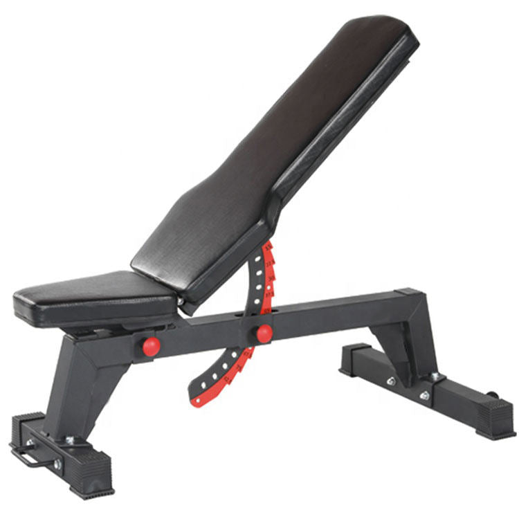 Adjustable Dumbbell Bench