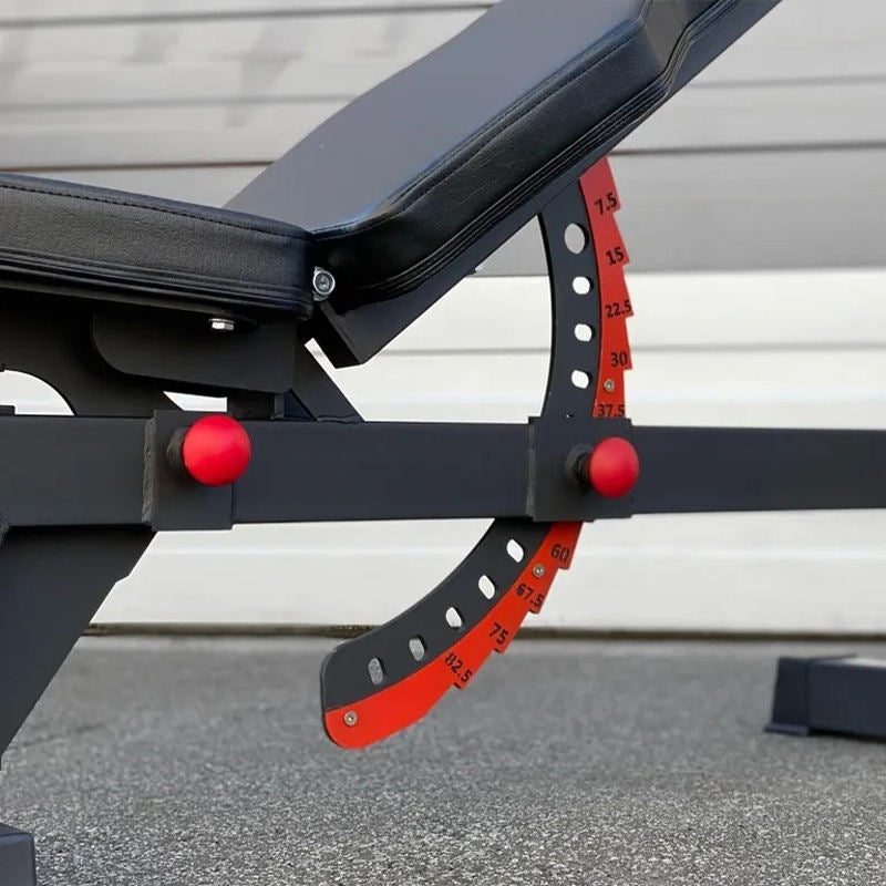 Adjustable Dumbbell Bench